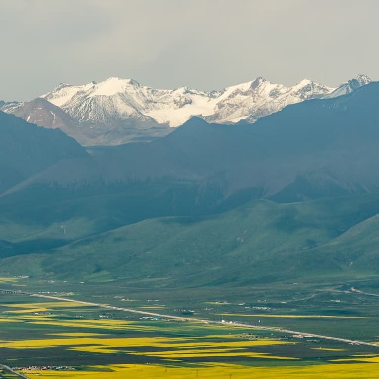 Runners climbing an open road through the Zabarwan foothills above Srinagar, with terraced tulip garden slopes and the bare ridgeline behind